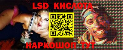 гашик Берёзовский