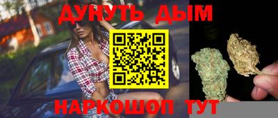 гашик Берёзовский