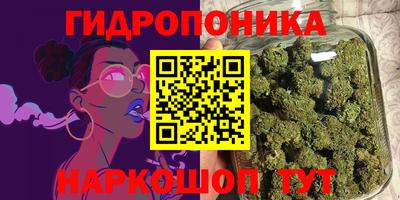 гашик Берёзовский