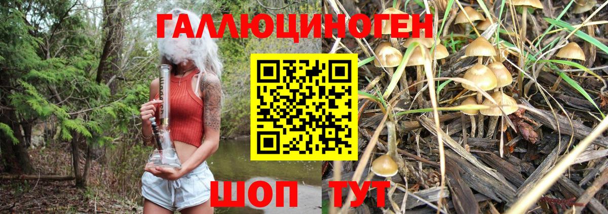 наркотики  Гусь-Хрустальный  Галлюциногенные грибы мухоморы  Псилоцибиновые грибы Magic Shrooms 