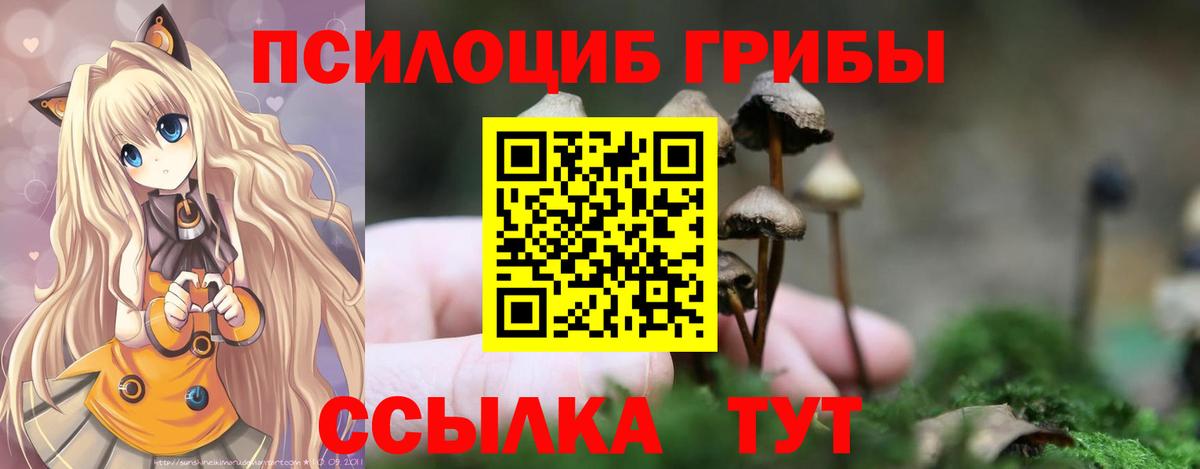 Псилоцибиновые грибы Cubensis  Псилоцибиновые грибы GOLDEN TEACHER  Вход с VPN  Гусь-Хрустальный 